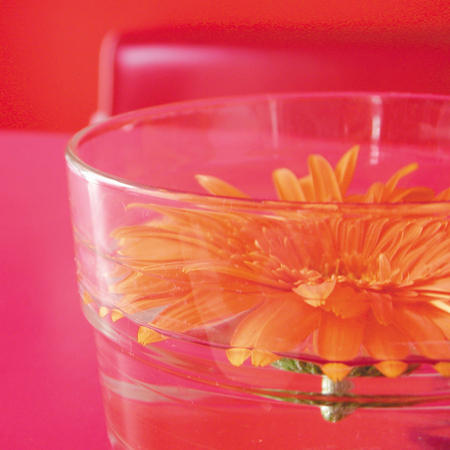 Orange gerbera in a glass potの写真素材