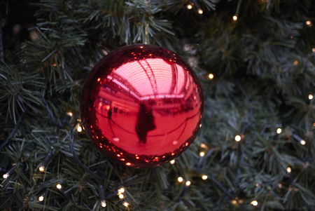 Christmas treeの写真素材