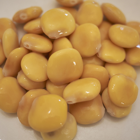 Lupin beans closeupの写真素材