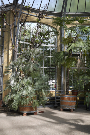 Amsterdam, Netherlands - May 17, 2018: View of amsterdam botanical gardenのeditorial素材