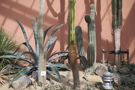 Amsterdam, Netherlands - May 16, 2018: View of amsterdam botanical gardenのeditorial素材