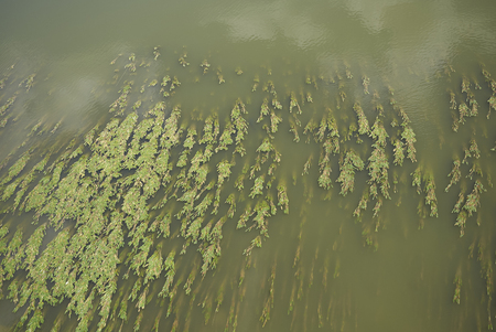 Firenze, Italy - June 21, 2018のeditorial素材