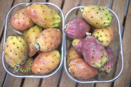 prickly pears fruitの写真素材