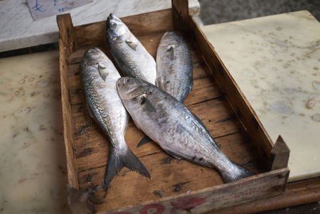 Palermo, Italy - September 07, 2018 : Fishmonger kiosk in Ballaro marketの写真素材