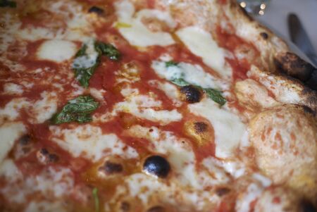 Pizza with mozzarella cheese and tomatoの写真素材