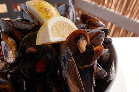 Steamed mussel as a starterの写真素材