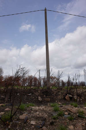 Burnt landscape near Catania airportの写真素材