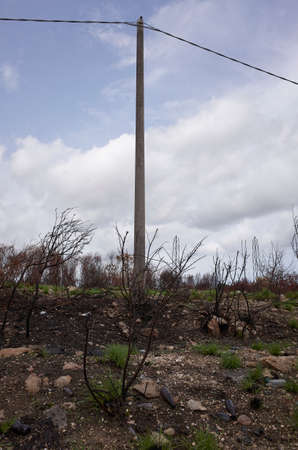 Burnt landscape near Catania airportの写真素材