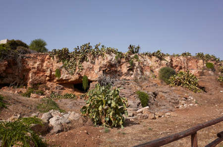 View of typical sicilian vegetationの写真素材