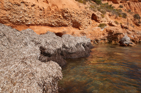 Ibiza, Spain - August 27, 2022 : View of Sa Caleta beachの写真素材