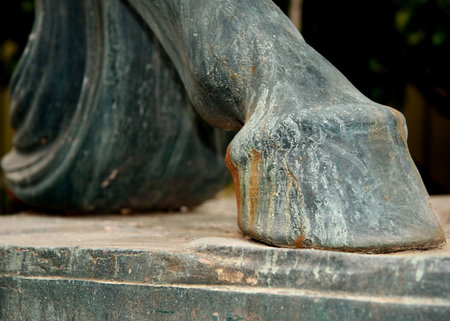 in the picture a hoofの写真素材