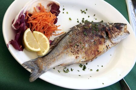 Fishの写真素材