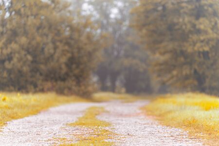 Beautiful macadam road with blurred trees in the background. Misty autumn, summer morning.の写真素材