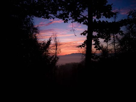 Colorful sunrise. View from the forest through the branches. Black silhouette and colorful sky.の写真素材