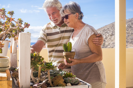 Man and woman old taking care of their grass plants. Couple life in the rooftop with ocean view and mountain. Green nature made by hands.の写真素材