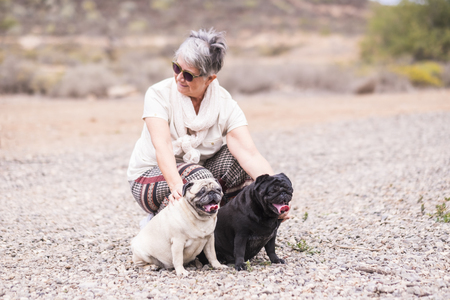 beautiful white hair senior woman caucasian sit down with two nice funny pug diversity races and colors in outdoor leisure activity in the summerの写真素材