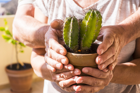 elderly couple embracing and taking care of plantsの写真素材