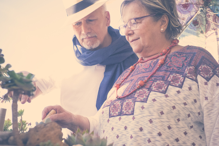couple of aged adults man and woman have care of their plants at home. colored clothes lifestyle and together daily life conceptの写真素材
