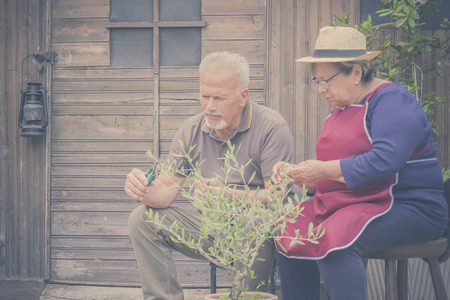 elderly senior couple in countryside like home farm work together, with plants cutting and repair them. family concept of life forever together with love and affectionの写真素材