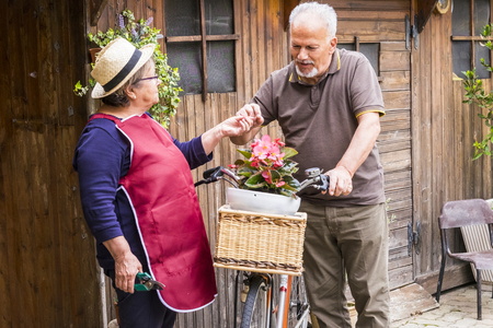 retired adult caucasian couple stay in the jardin at his own home to work on the plants and vegetables. old style bike with them and wood background. life forever together concept for people in love retiredの写真素材
