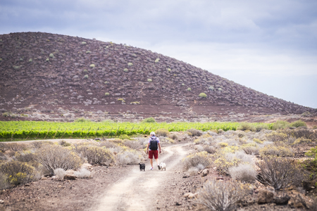 senior caucasian man have fun and enjoy a trekking walk in a path between mountain and vineyards with his companion dogs pug in totally friendship forever. together discovering new placesの写真素材