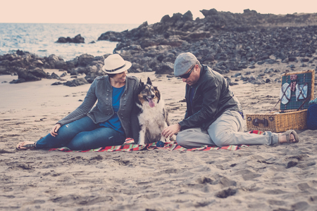 family with a border collie dog doing pic nic activity on the beach in vacation, summer lifestyle with friends concept. old style and vintage filterの写真素材