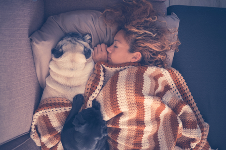 true love sleeping all together in the morning young beautiful caucasian woman and two pretty dog pug protecting her and have tenderness for them. friendship between human and animalsの写真素材