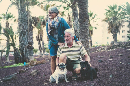 seniors who spend time with their domestic dogsの写真素材