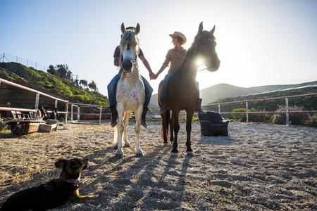 beautiful caucasian couple on two horses with the sun in backlight and a dog looking them from the ground. touching hands and beautiful animals for love therapyの写真素材
