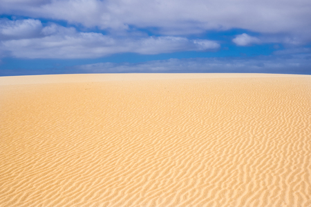 Sand dunes in the desert of Corralejo. Fuerteventura Canary Islands to live an adventure in vacationの写真素材