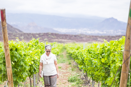 beautiful caucasian senior adult woman walk in the country yard near the new next wine production. loneliness and vacation for mature peopleの写真素材