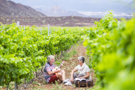 couple of alternative aged older traveler stay sitting down in a vineyard with the luggage and playing an ukulele acoustic guitar and reading a paper book.の写真素材