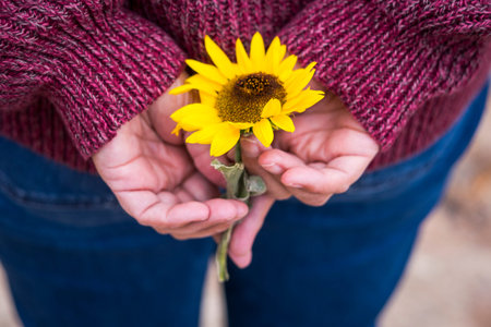 close up with vintage tones and colors of sun flower on the rear pocket of casual woman jeans back....