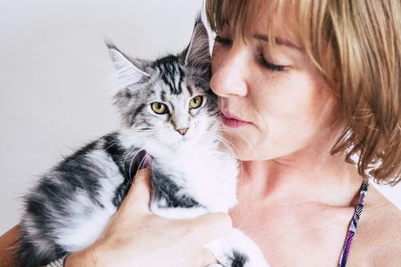 Beautiful young woman with cute cat resting at home. curious cat looking to you and thinking. attractive caucasian female kissing the animal. domestic lifestyle and love concept with best friendの写真素材