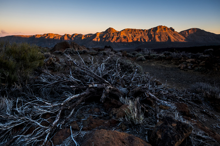 desert mountain in tenerife on el teide vulcan to enjoy your trekking vacation. warm colors sunset on rocks mountain. dead plantsの写真素材