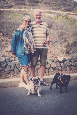 seniors who spend time with their domestic dogsの写真素材