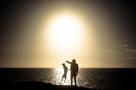 Young caucasian man play with his beautiful healthy amstal dog in outdoor leisure activity and time for friendship - best friend forever and pet therapy concept - sunset and sunlight in backgroundの写真素材