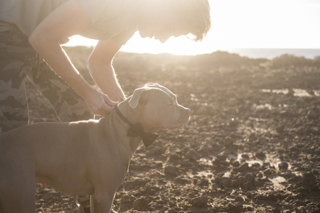 couple with young caucasian male and beautiful amstal dog prepare for a party or nice leisure activity together. friendship and love with the dog best friend. outdoor desert location and sunset timeの写真素材