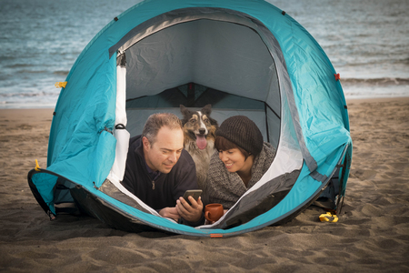 couple looking at the smart phone and have fun inside a tent in free camping on the beach Dog border collie behind them looking at the camera. bright colors and alternative vacation family concept. Wonderlust peopleの写真素材