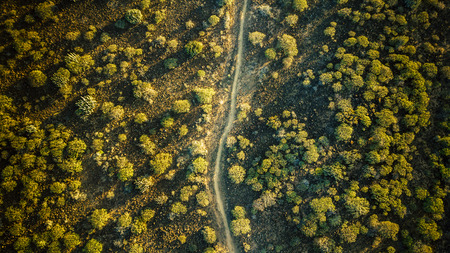 Aerial view of desert landscape with backlight - clear skyの写真素材