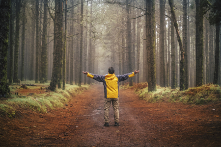 Man with trekking equipment standing in the middle of a road enjoying freedom and alternative vacation adventure lifestyle - forest and wood outdoor nature scenic place with high treesの写真素材