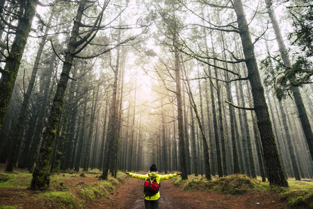 Rear view of a colored woman walking in the forestの写真素材