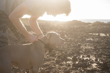 Beautiful dog getting beautiful and ready for party celebration from his blonde young cute owner - fun and friendship lifestyle for people and animals - sun and backlight sunset backgroundの写真素材