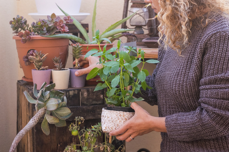 woman having care of the ho0me garden with plants - environment and nature for nice people enjoy and feel the worldの写真素材