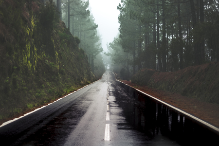 Long way road in the rain at the mountain with pines forest and fog clouds in front and grey clear sky - ground point of view with black asphalt and white lines - driving and travel conceptの写真素材
