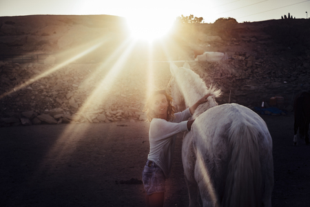 Young beautiful girl rider prepare the white horse in outdoor leisure activity - love animal therapy and freedom with alternative lifestyle people - sun in backlight for sunset lightの写真素材