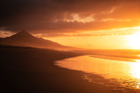 Golden beautiful red sunset at the beach with seagull flying for freedom and vacation concept - nobody in tropical wild scenic place with ocean and mountains - quiet and peace landscape on the summer holiday coastsの写真素材
