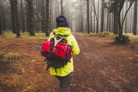 Back view of woman explore high winter forest wood with pines with backpack and red cover - trekking and hiking concept for alternative wild travel peopleの写真素材