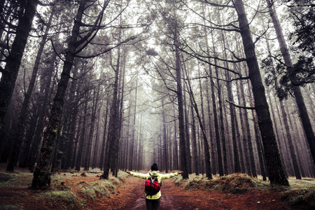 Happy people adventure trekking hiking concept enjoying nature and beautiful high trees forest wood - wanderlust and alternative vacation with beautiful natural backgroundの写真素材