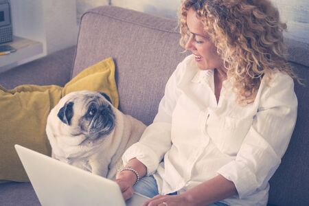 Happy couple people woman and funny dog enjoy at home together - caucasian lady working with laptop computer and domestic friend looking to her - bright image for love and happiness conceptの写真素材